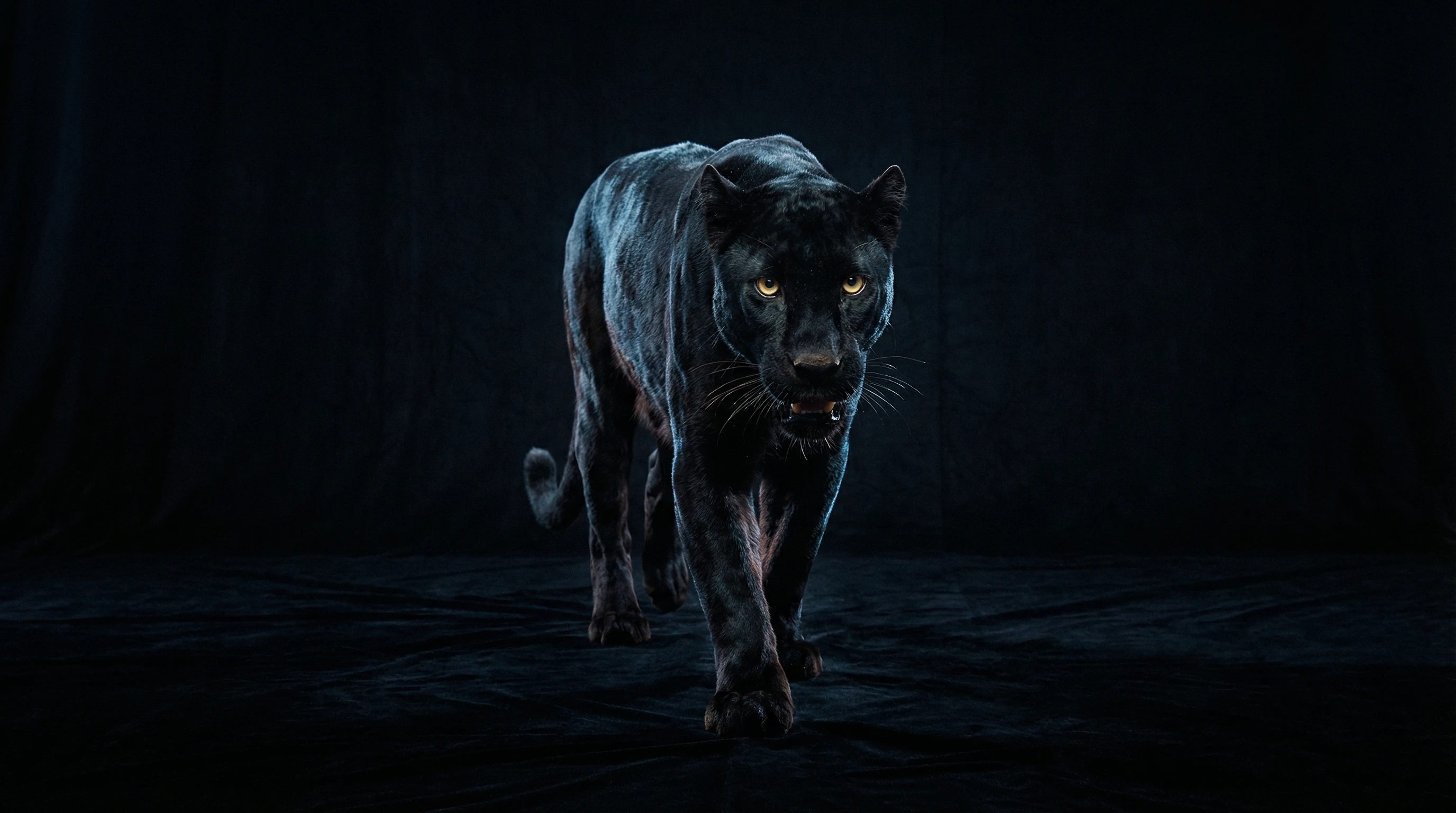 CineForge™ Renderer – Video